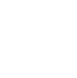 ISO-9001 white logo