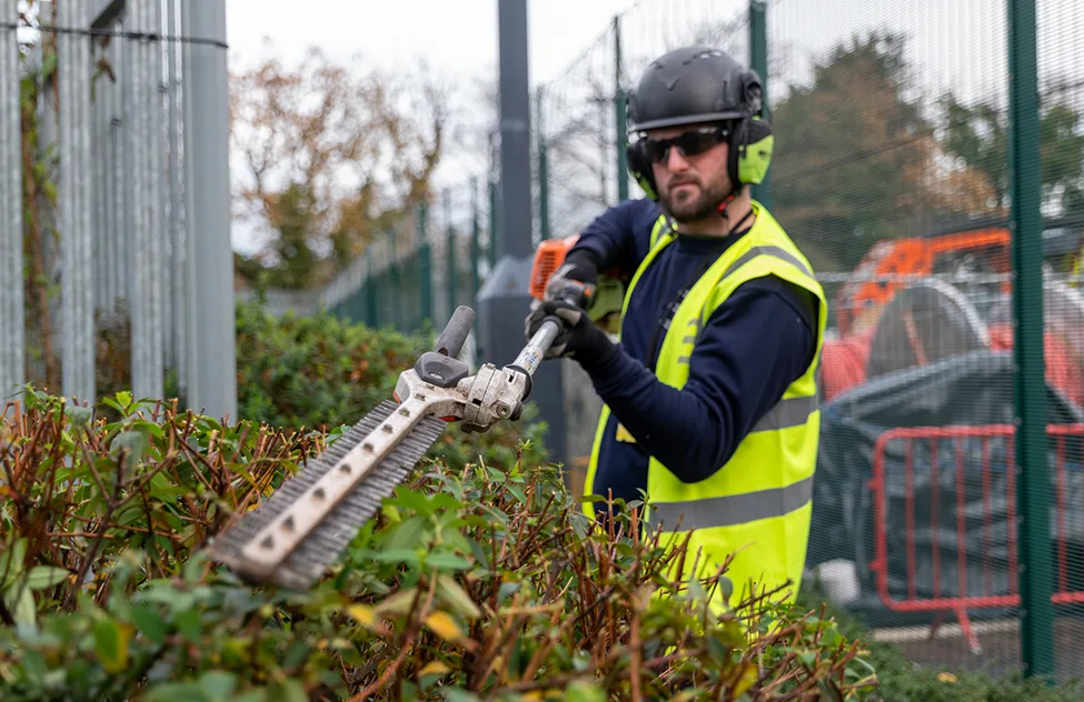Worker in yellow safety vest and black helmet uses hedge trimmer on shrubs along fenced area.